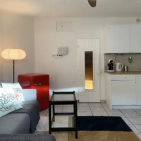 Comodo Pied-a-terre Ad * 阿斯科纳